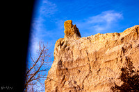 DSC_9455-2