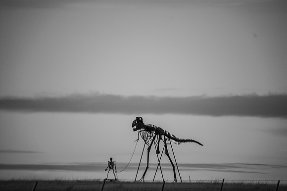 DSC_9515BW