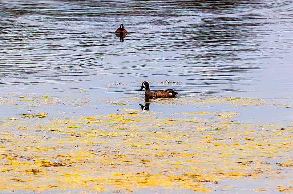 DSC_8194-Edit