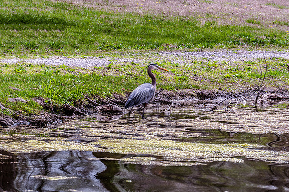 DSC_8205-Edit