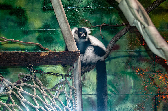 DSC_8623