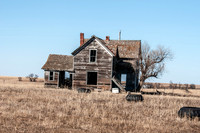 NIKON D300 - _NRL0075