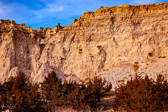 DSC_9450-2