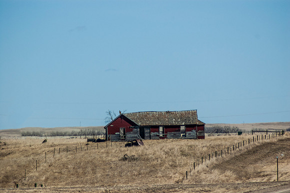 DSC_9736