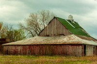 DSC_8170