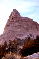 DSC_9454 (1)
