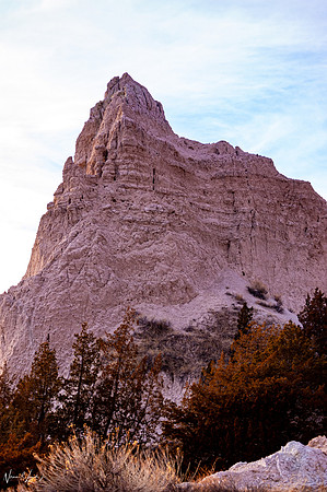 DSC_9454 (1)
