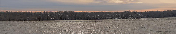 snowbirds-5089-Pano