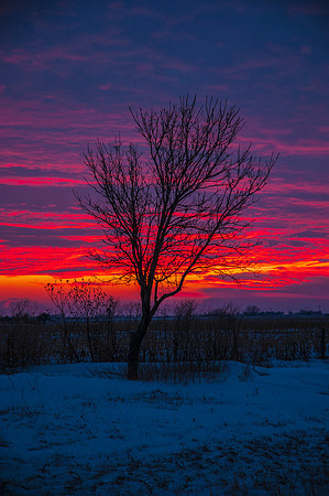 DSC_8521